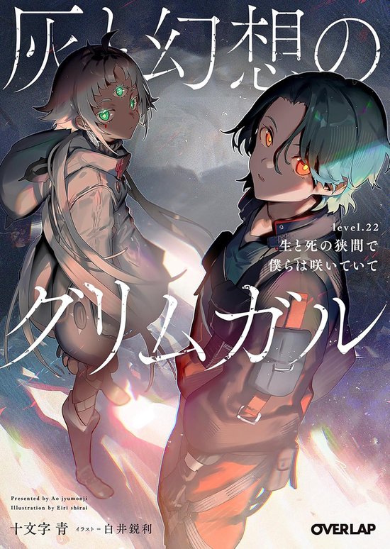 Grimgar of Fantasy and Ash (Light Novel)- Grimgar of Fantasy ... - cover