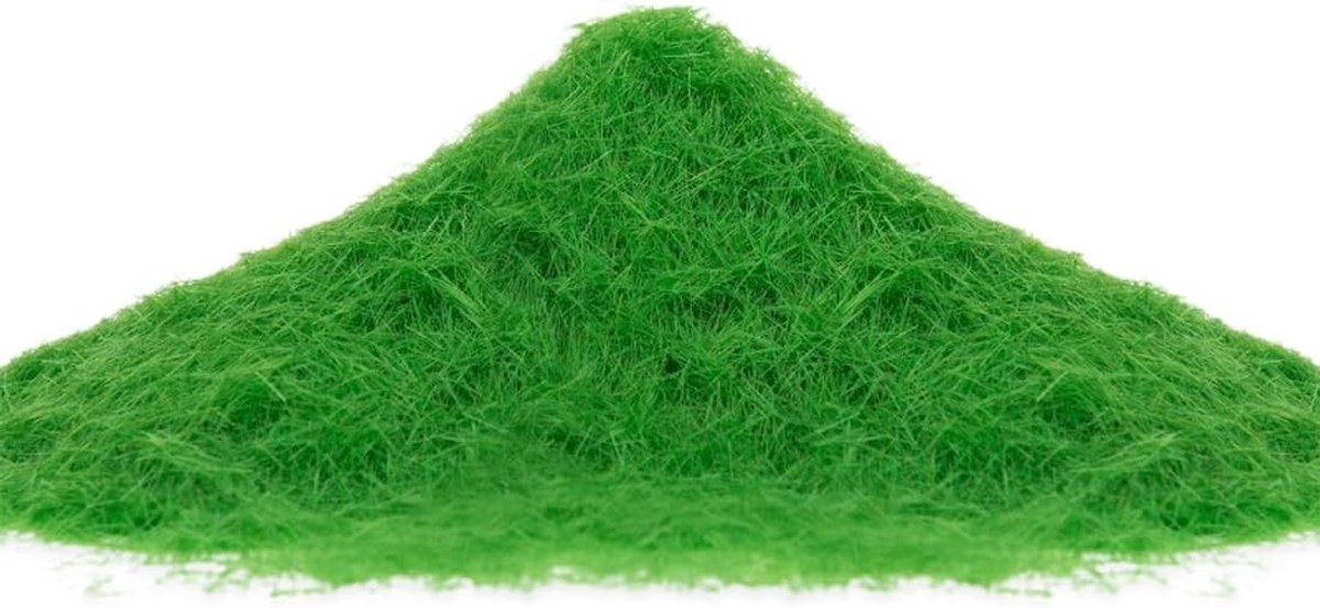 Natuurlijke Mos Poeder voor Modelbouw - Losse Grasvezels voor Spoorwegen, Landschappen en Diorama's (Winter Groen)