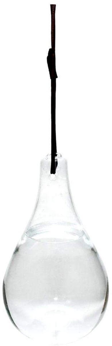 Vliegenval glas Ø 11 x 20 cm - 825 ml - met koord om op te hangen - effectief tegen vliegen - ShopVlot