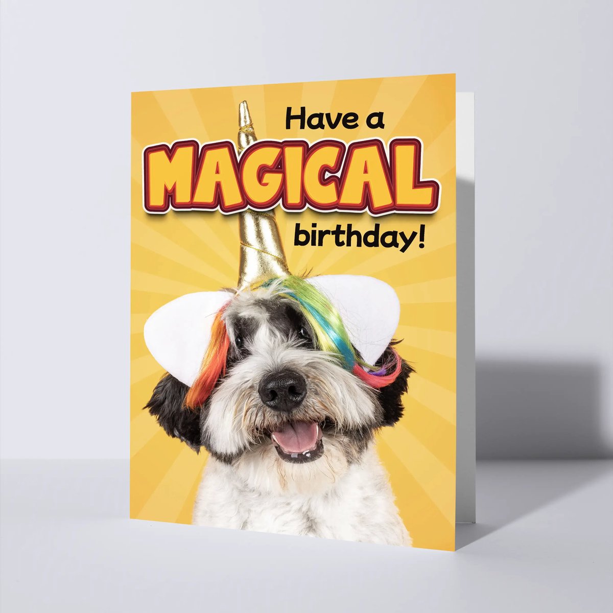 CAT'CHY Cards - wenskaart - verjaardag - hond - boomer