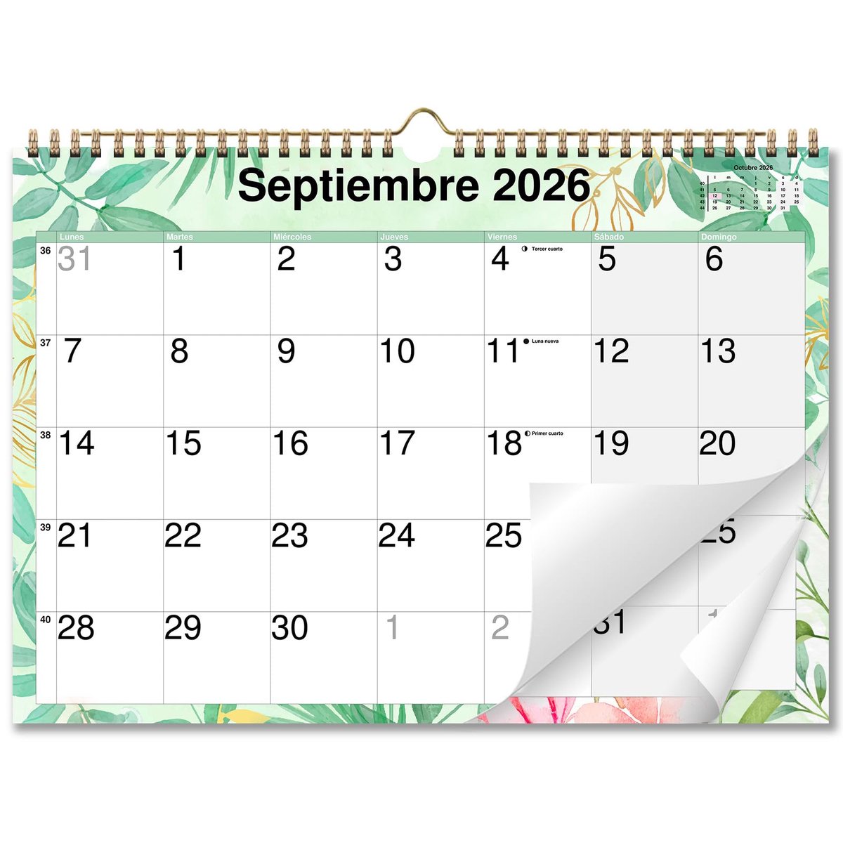 Wandkalender A3 - liggend - 16 maanden vanaf september 2026 - overzichtelijke planning - ShopVlot