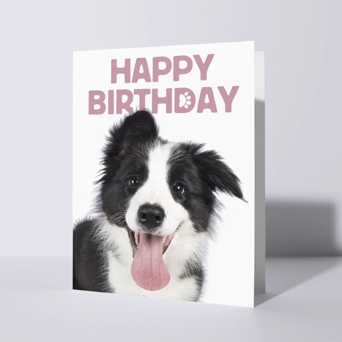 CAT'CHY Cards - wenskaart - verjaardag - hond - border colie