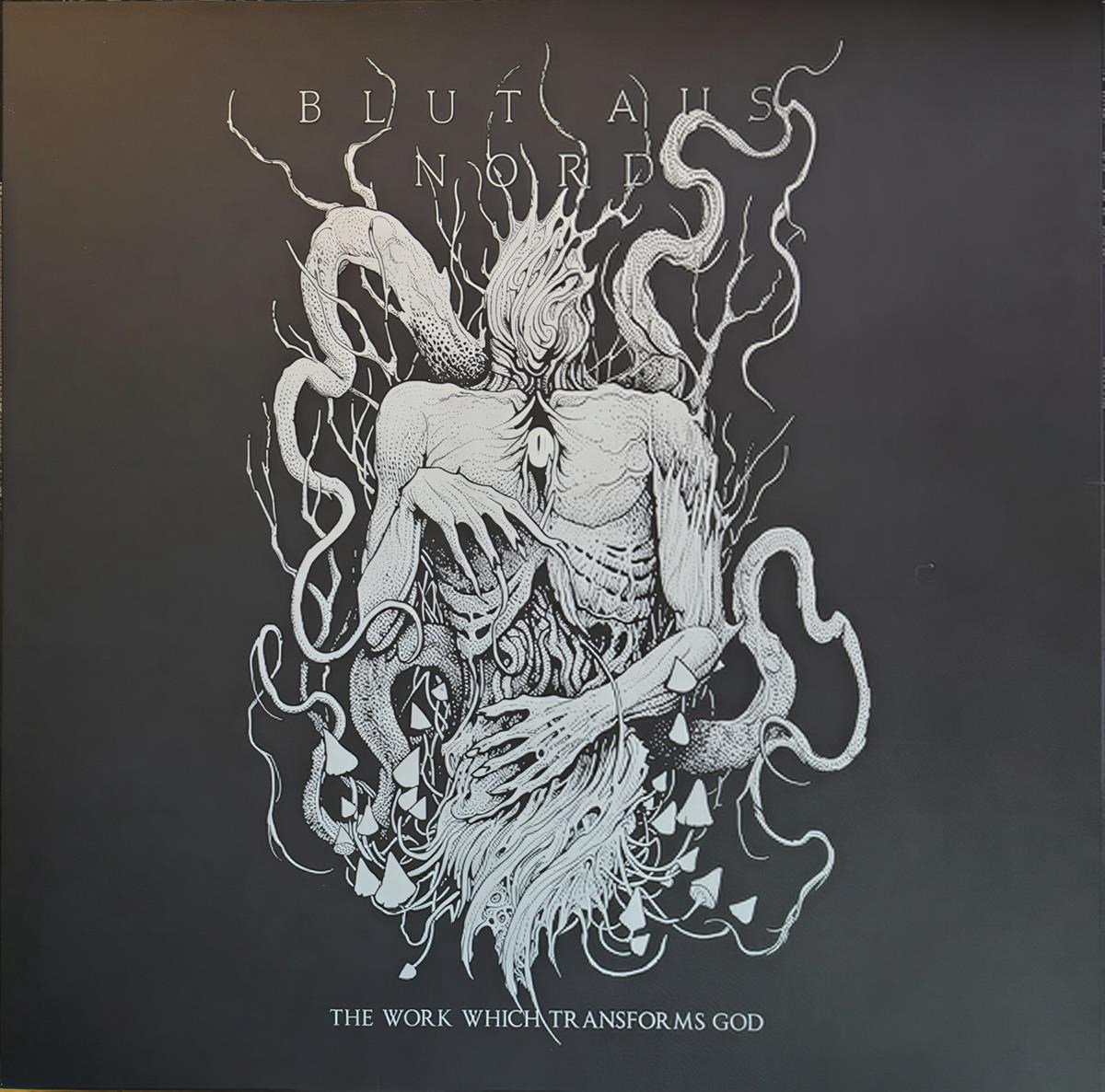 Blut Aus Nord - The Work Which Transforms God