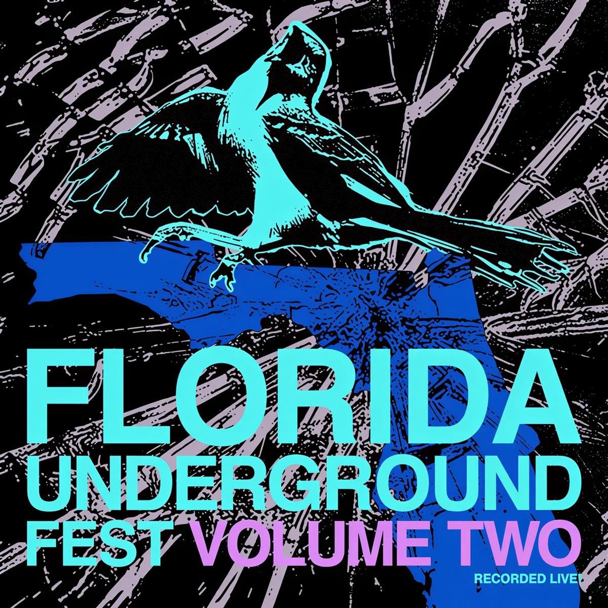 Various Artists - Florida Underground Fest Vol.2 (LP)