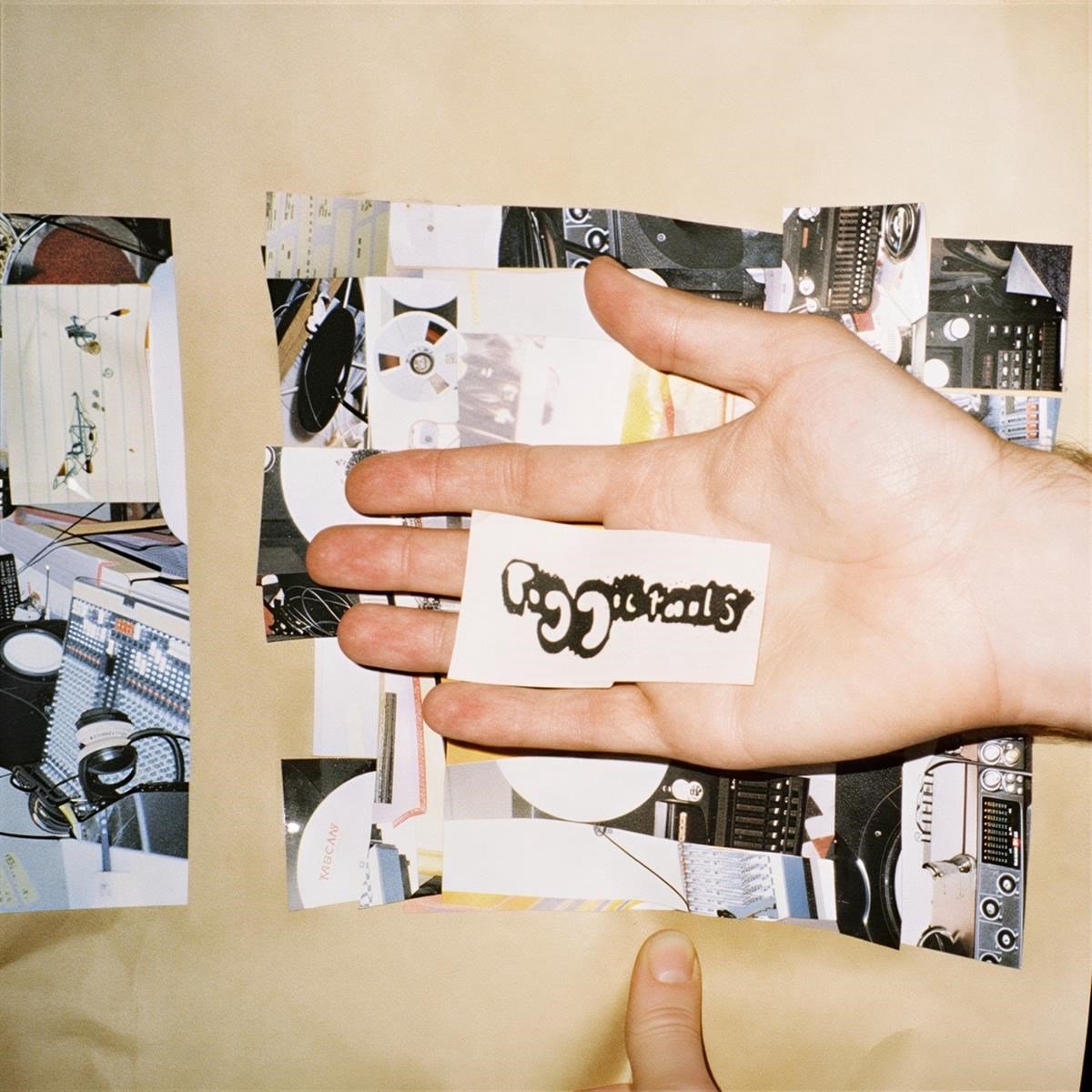 Piggietails - Piggietails (LP)