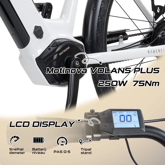 Rabeneick Comfort E-Bike Wave 51 Grijs van Merkloos — afbeelding 3