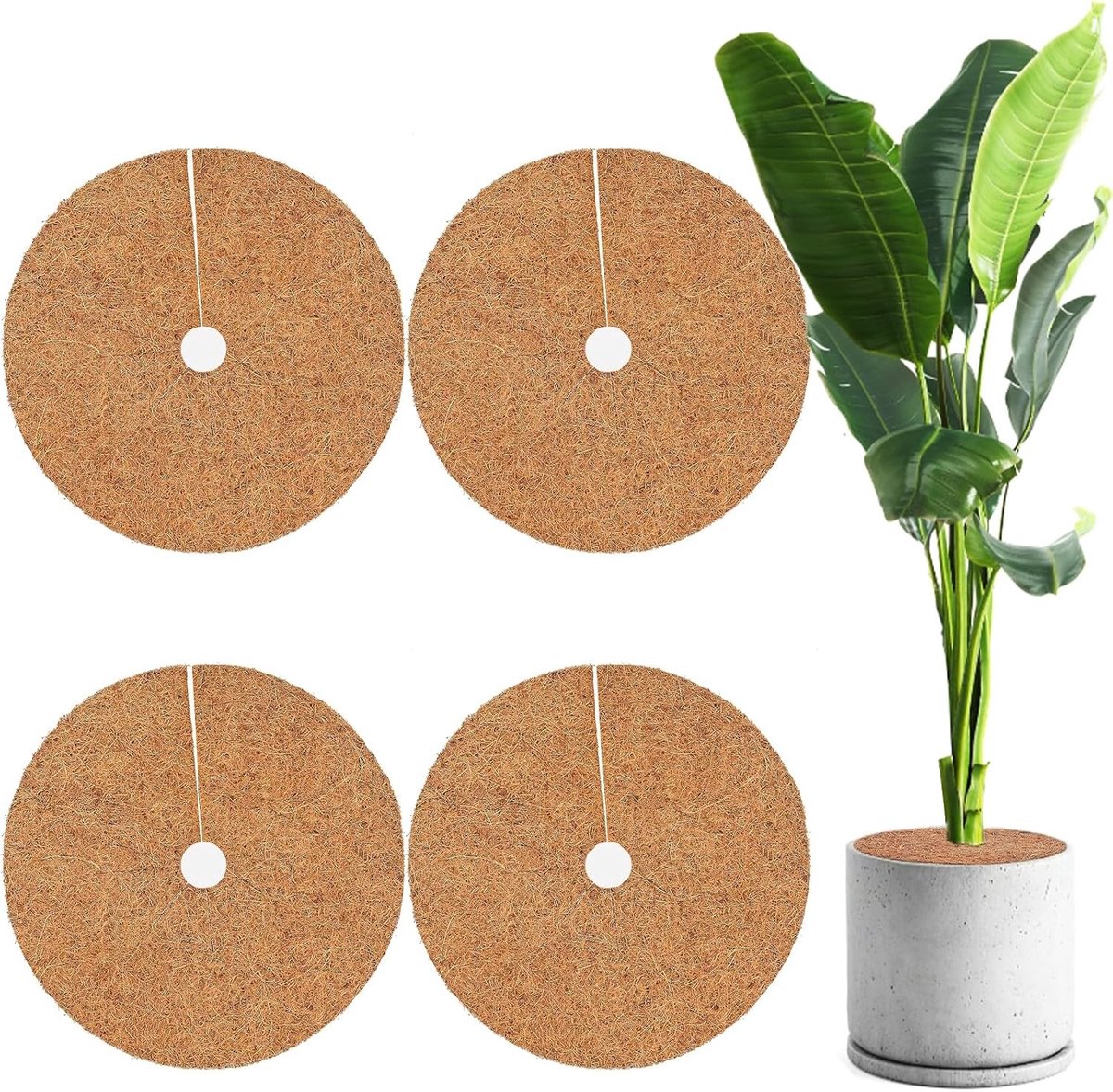 Natuurlijke kokosmat van 40 cm voor winterbescherming van planten, vorstbescherming, eenvoudig op maat te snijden en te gebruiken, ideaal voor tuin en balkon