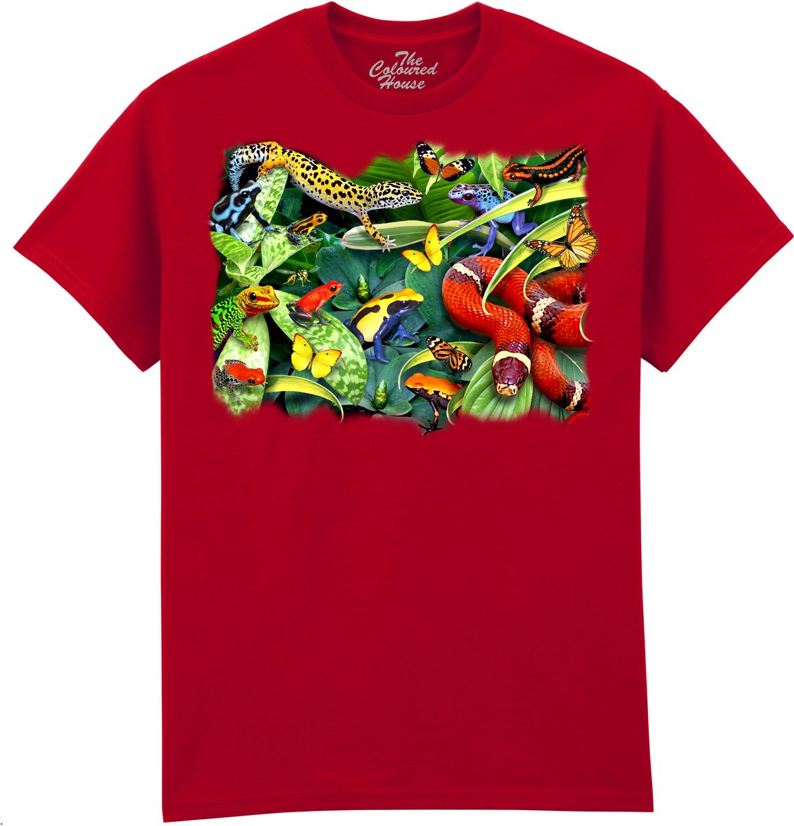 Kikkers Gecko Slang Jumpers And Crawlers The Coloured House T-shirt XXL