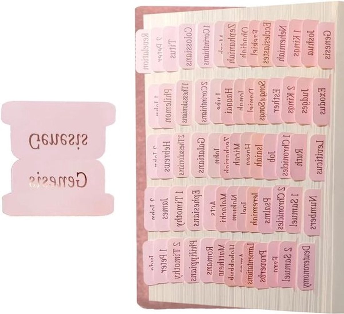 Bijbeltabbladen - Bijbel Index Tabs - Bijbelstudie Organiseren - Grote Print Leeslinten - 4 Vellen - Roze