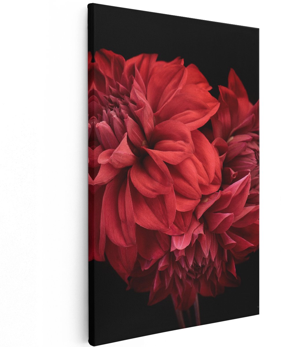 Artaza Canvas Schilderij Rode Dahlia Bloemen - 120x180 cm - Groot - Wanddecoratie Woonkamer - Schilderijen - Muurdecoratie