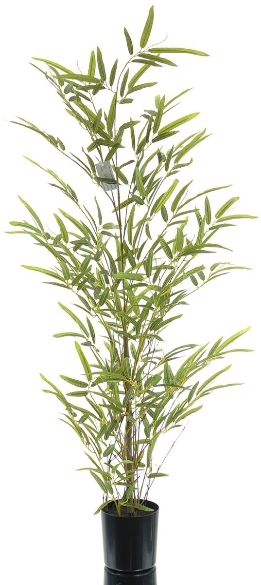 Gasper Bamboe Miniblad Groen Naturel Stam in Kunststofpot 90 cm