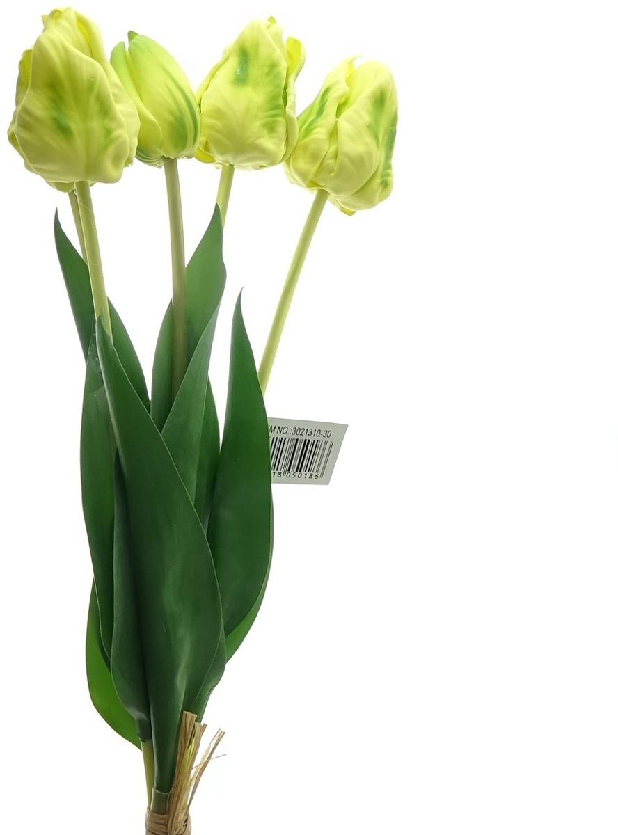 Gasper Papegaaitulpen Geel 48 cm 5 Stelen