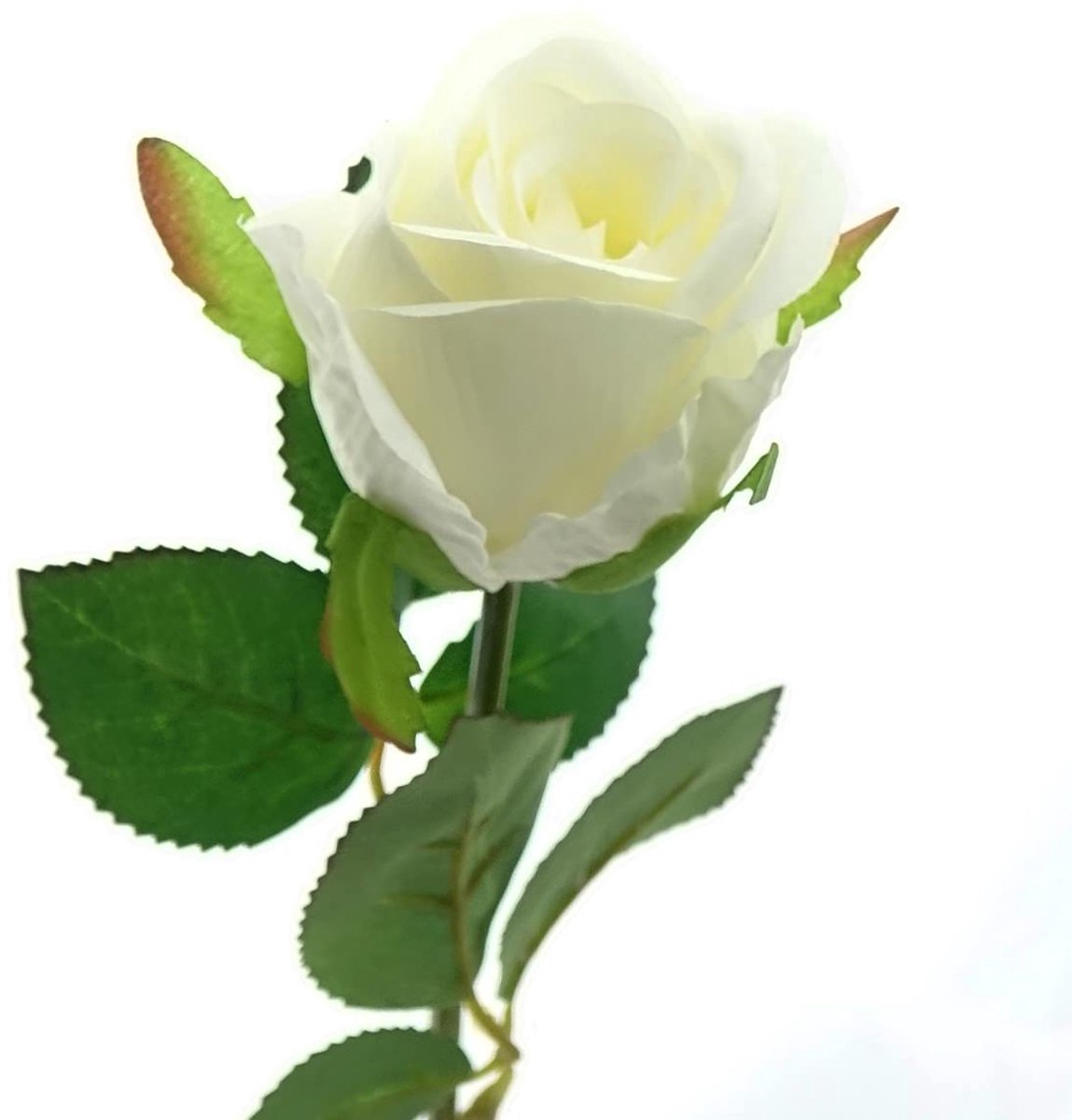 Gasper Rozenbloem Wit 45 cm