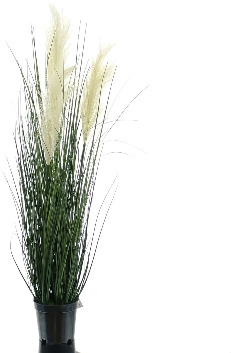 Gasper Pampasgras Wit in zwarte pot 76 cm - Kunstplanten