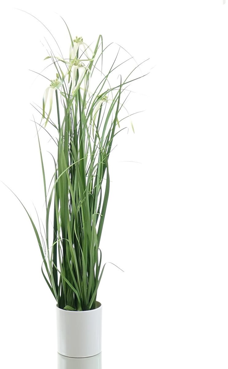 Gasper Sterrenzegge Wit Witte Melaminepot 62 cm - Kunstplant
