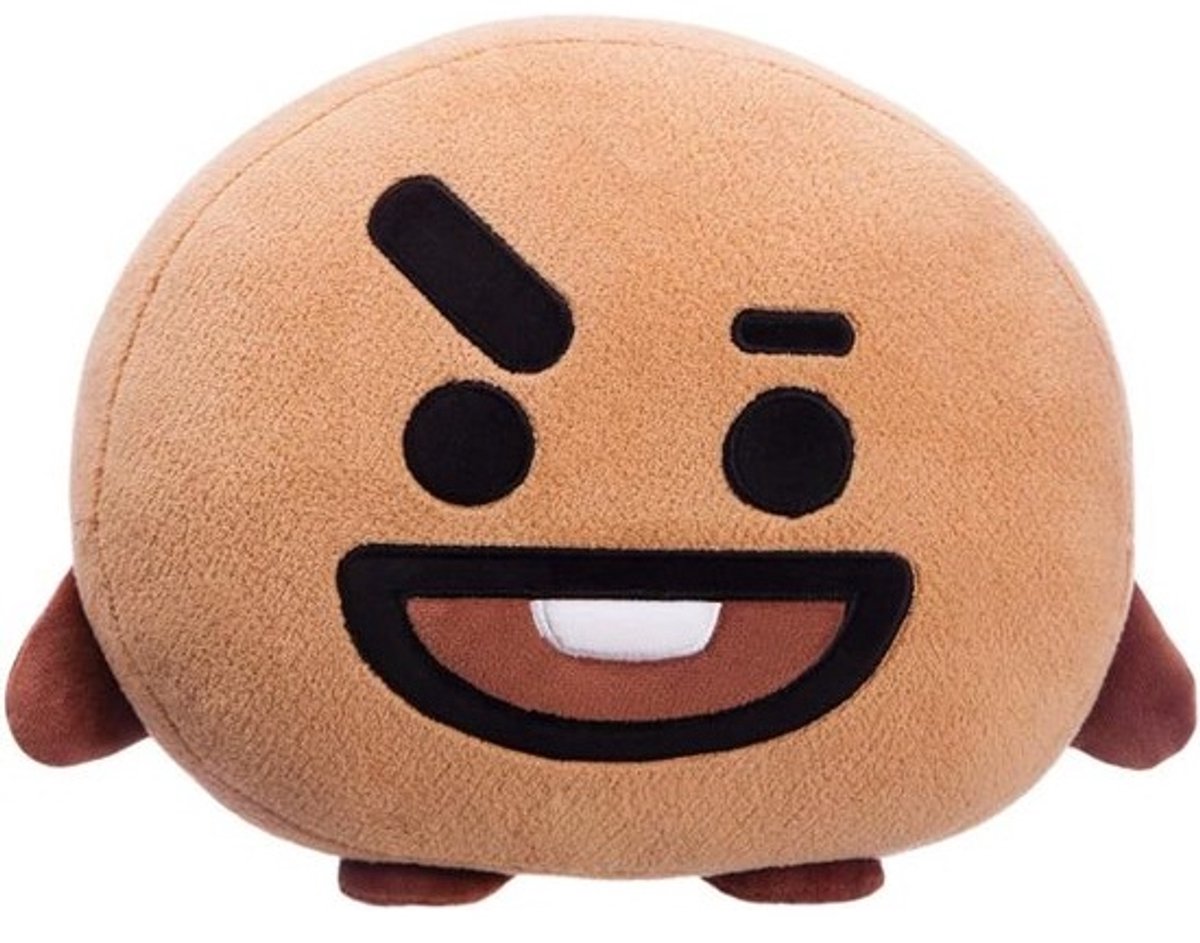 Pluchen Kussen van Shooky BT21 Personage voor Kinderen en Fans