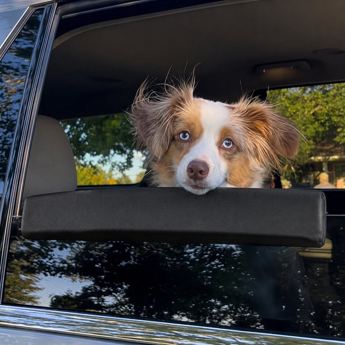 Namajunas hondenkussen voor autoraam - hond auto - autoraam beschermer voor hond - kinsteun voor autoruit - universele pasvorm - waterbestendig en makkelijk schoon te maken - bescherming voor raamrand - auto accessoire voor honden onderweg - zwart