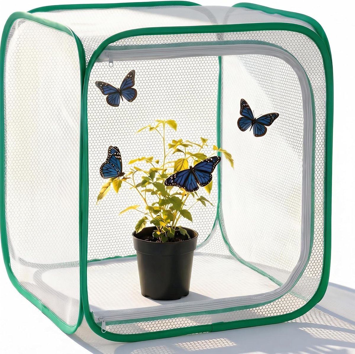 Pop-up Vlinderkooi - Observatiekooi - Habitat voor Insecten - Insectenwerende Plantentent - Vlinder Leefruimte Kooi - Vlinderverblijf - Vlinderkooi Van Gaas - Voor Het Kweken Observeren Van Insecten - Voor Groenten, Fruit, Bloemen en Zaailingen