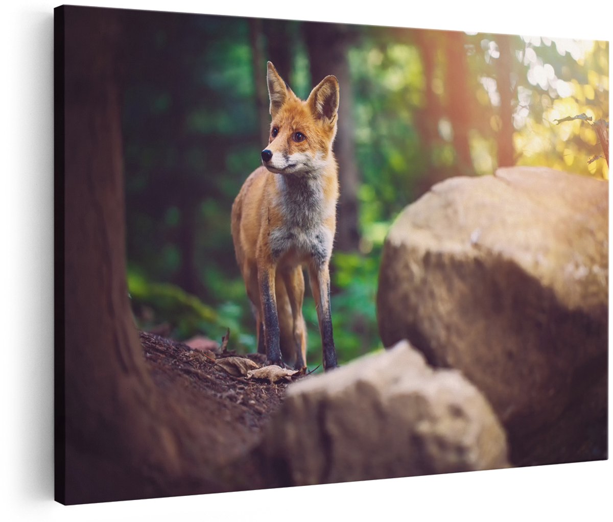 Artaza Canvas Schilderij Vos in het Bos bij Stenen - 180x120 cm - Groot - Wanddecoratie Woonkamer - Schilderijen - Muurdecoratie