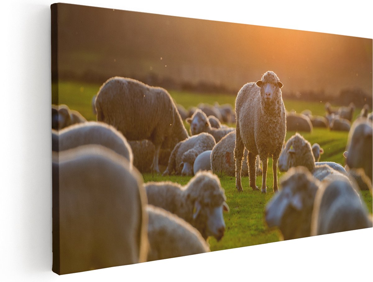 Artaza Canvas Schilderij Kudde Schapen bij Zonsondergang - 180x90 cm - Groot - Wanddecoratie Woonkamer - Schilderijen - Muurdecoratie
