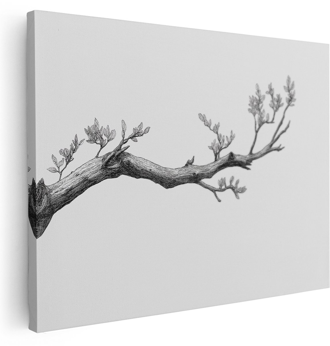 Artaza Canvas Schilderij Tak Met Bladeren - 160x120 cm - Groot - Wanddecoratie Botanisch - Muurdecoratie Zwart Wit - Decoratie Boom - Kamer Accessoires