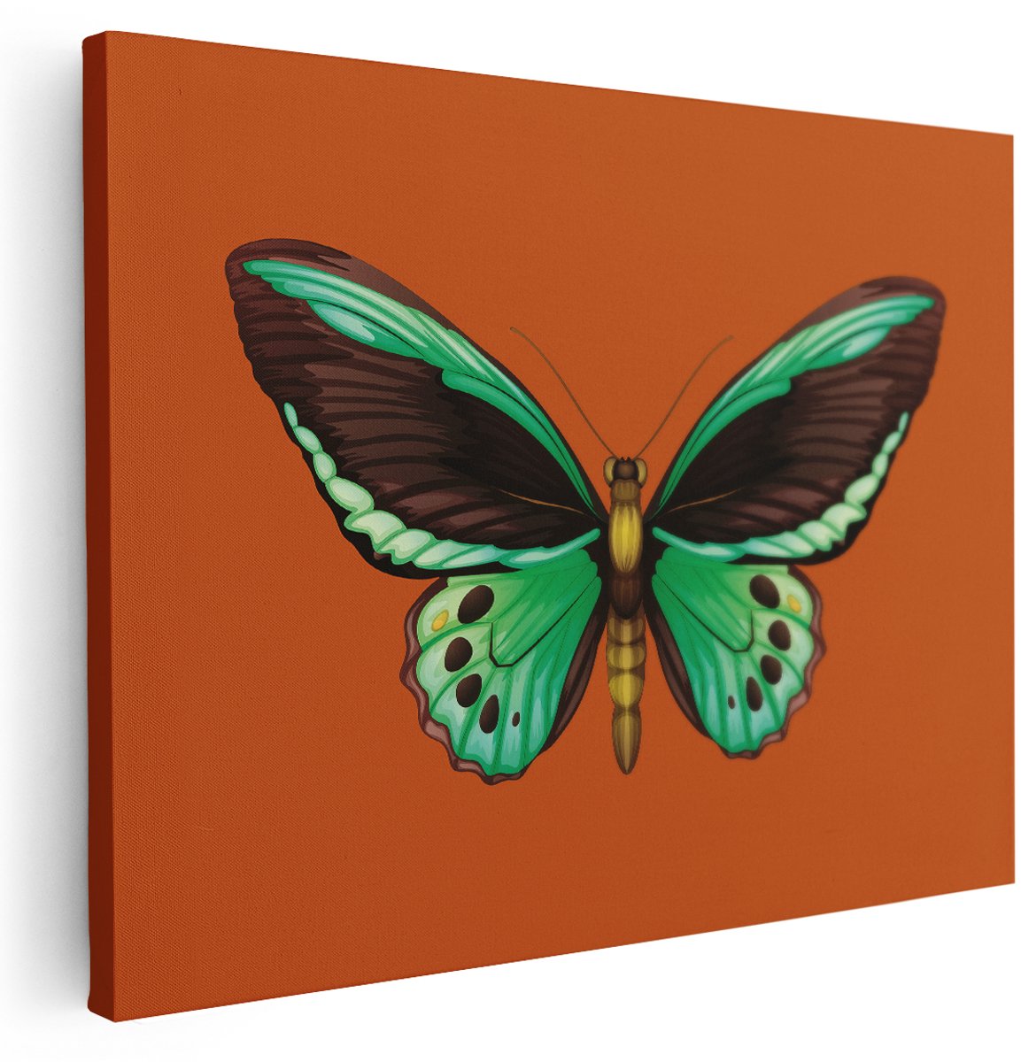 Artaza Canvas Schilderij Decoratie Vlinders - 160x120 cm - Groot - Wanddecoratie Groen - Muurdecoratie Kleurrijk - Schilderijen Dieren