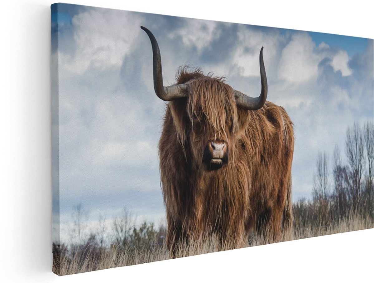 Artaza Canvas Schilderij Schotse Hooglander Koe - Kleur - 140x70 cm - Groot - Wanddecoratie Woonkamer - Schilderijen - Muurdecoratie