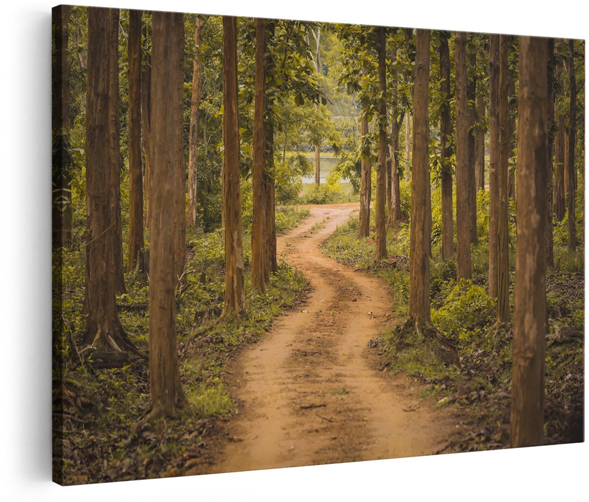 Artaza Canvas Schilderij Pad In Het Bos Met Bomen - 150x100 cm - Groot - Wanddecoratie Woonkamer - Schilderijen - Muurdecoratie