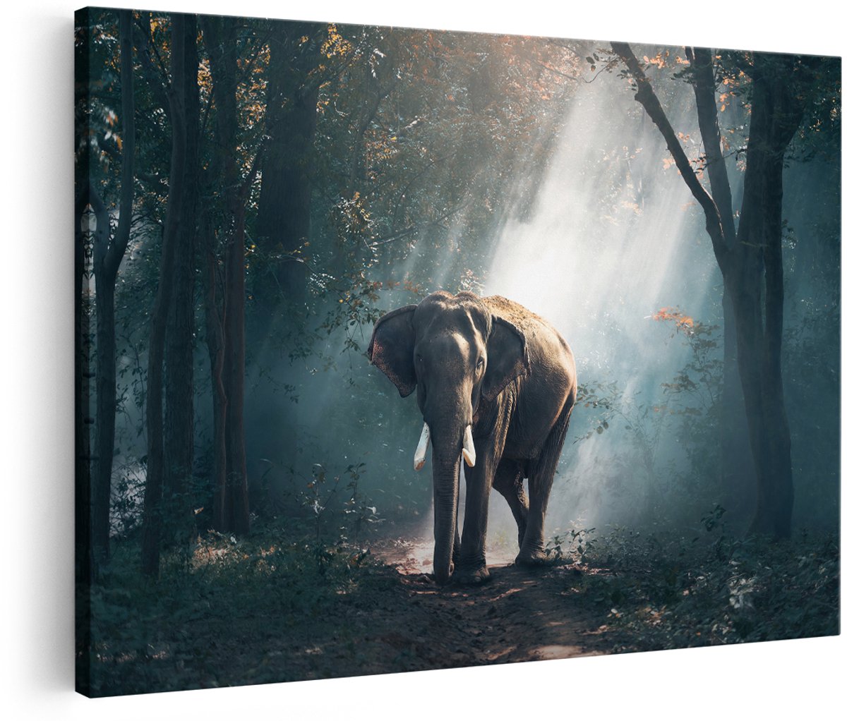 Artaza Canvas Schilderij Olifant In Het Bos Met Zonneschijn - 150x100 cm - Groot - Foto Op Canvas - Wanddecoratie Woonkamer