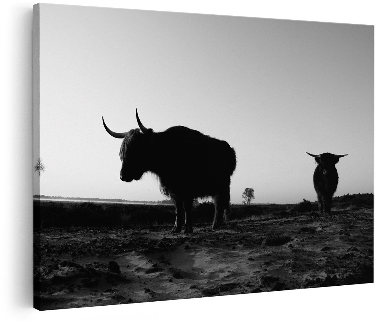 Artaza Canvas Schilderij Twee Schotse Hooglanders op het Strand - Zwart Wit - 150x100 cm - Groot - Foto Op Canvas - Wanddecoratie