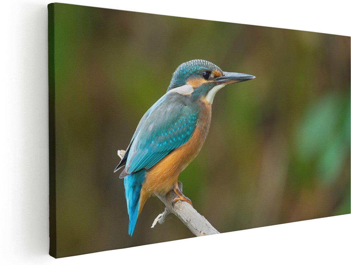 Artaza Canvas Schilderij Blauwe IJsvogel Op Een Tak - 140x70 cm - Groot - Wanddecoratie Woonkamer - Schilderijen - Muurdecoratie