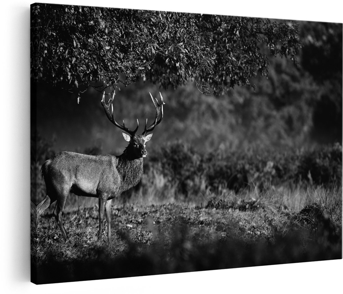 Artaza Canvas Schilderij Hert onder een Boom in de Weide - Zwart Wit - 150x100 cm - Groot - Foto Op Canvas - Wanddecoratie Woonkamer