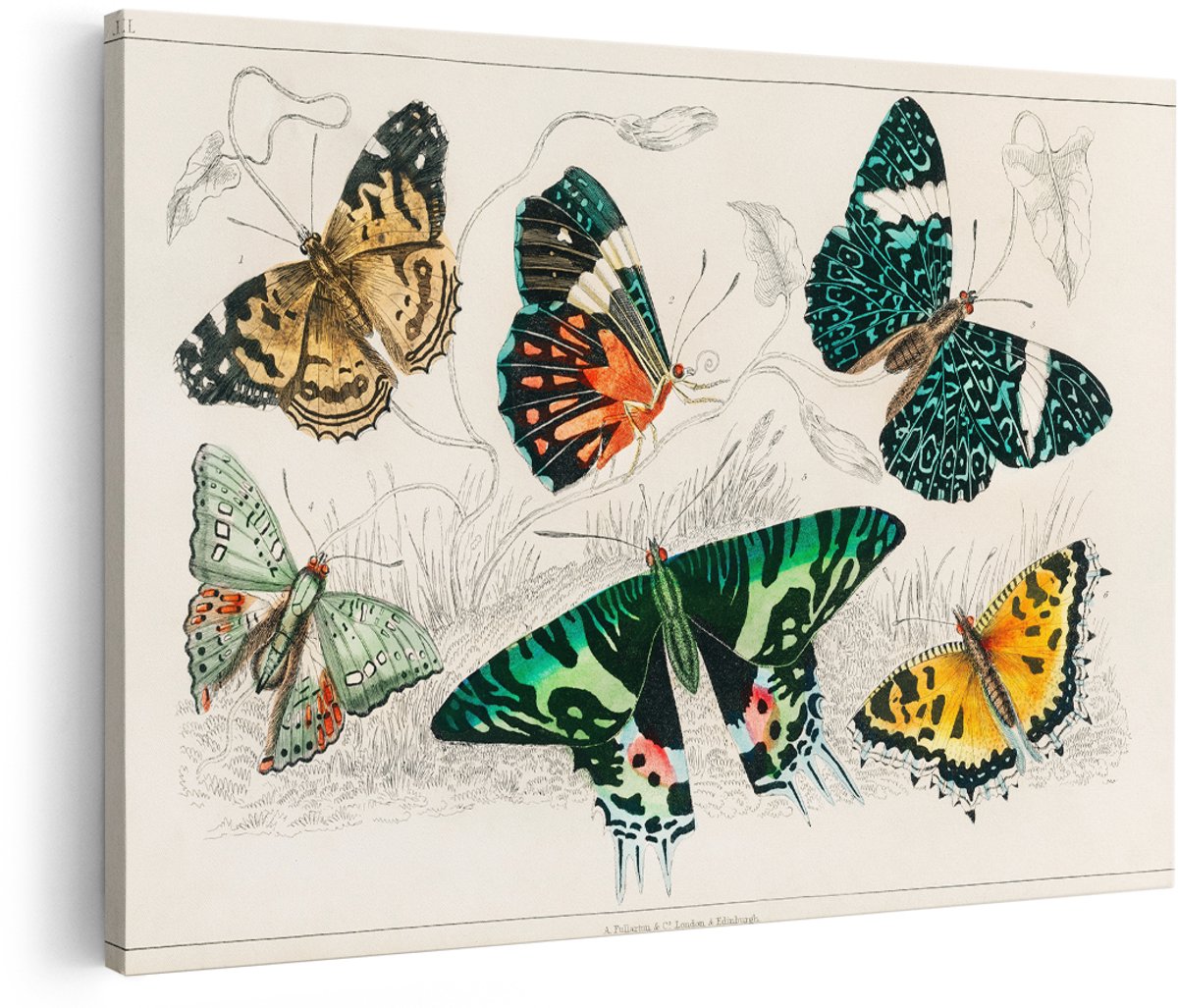 Artaza Canvas Schilderij Vlinders - 150x100 cm - Groot - Wanddecoratie Vintage - Muurdecoratie Kleurrijk - Decoratie Dieren Woonkamer