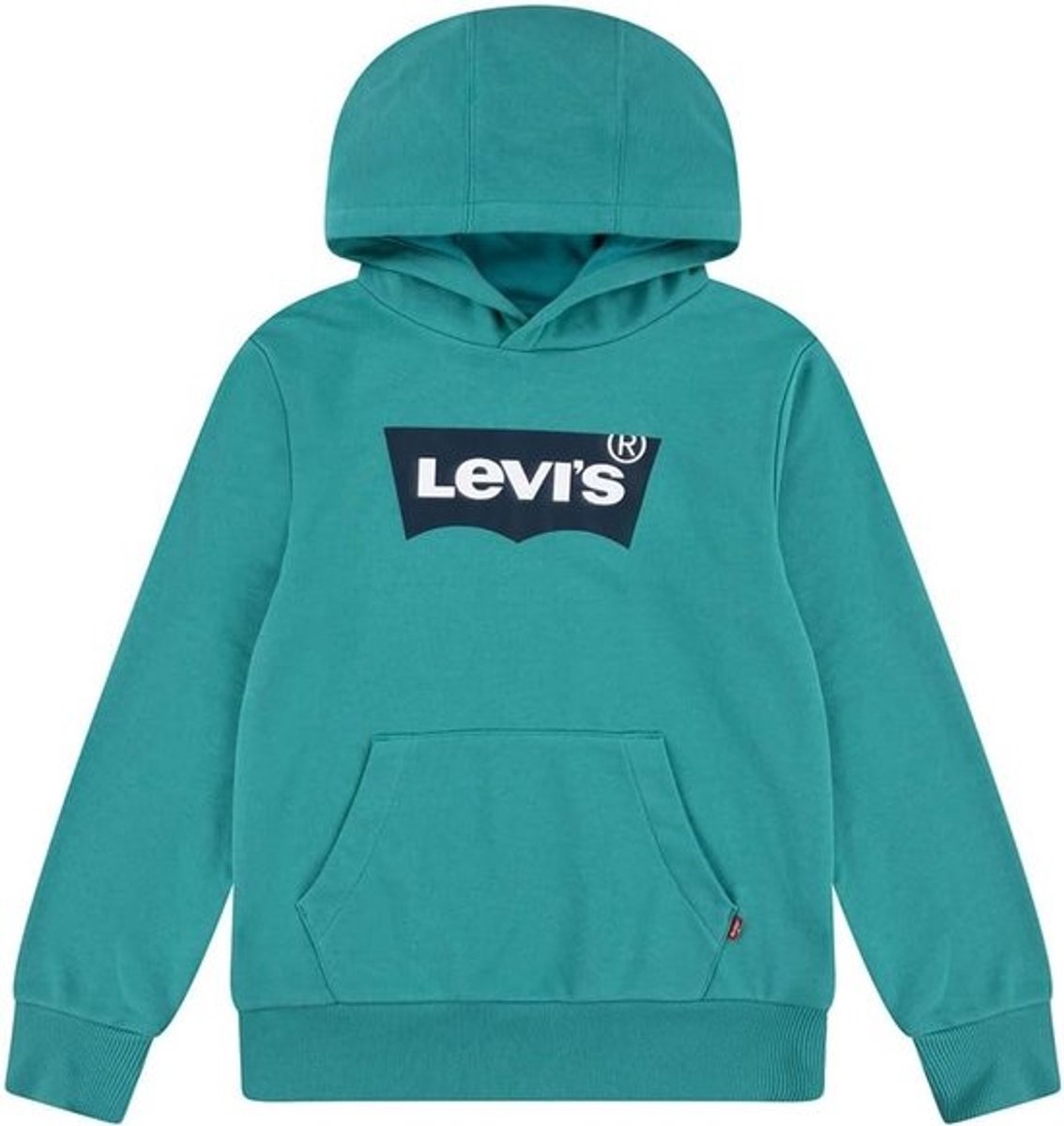 Comfortabele Hoodie met Capuchon voor Kinderen en Tieners - Porselein Groen