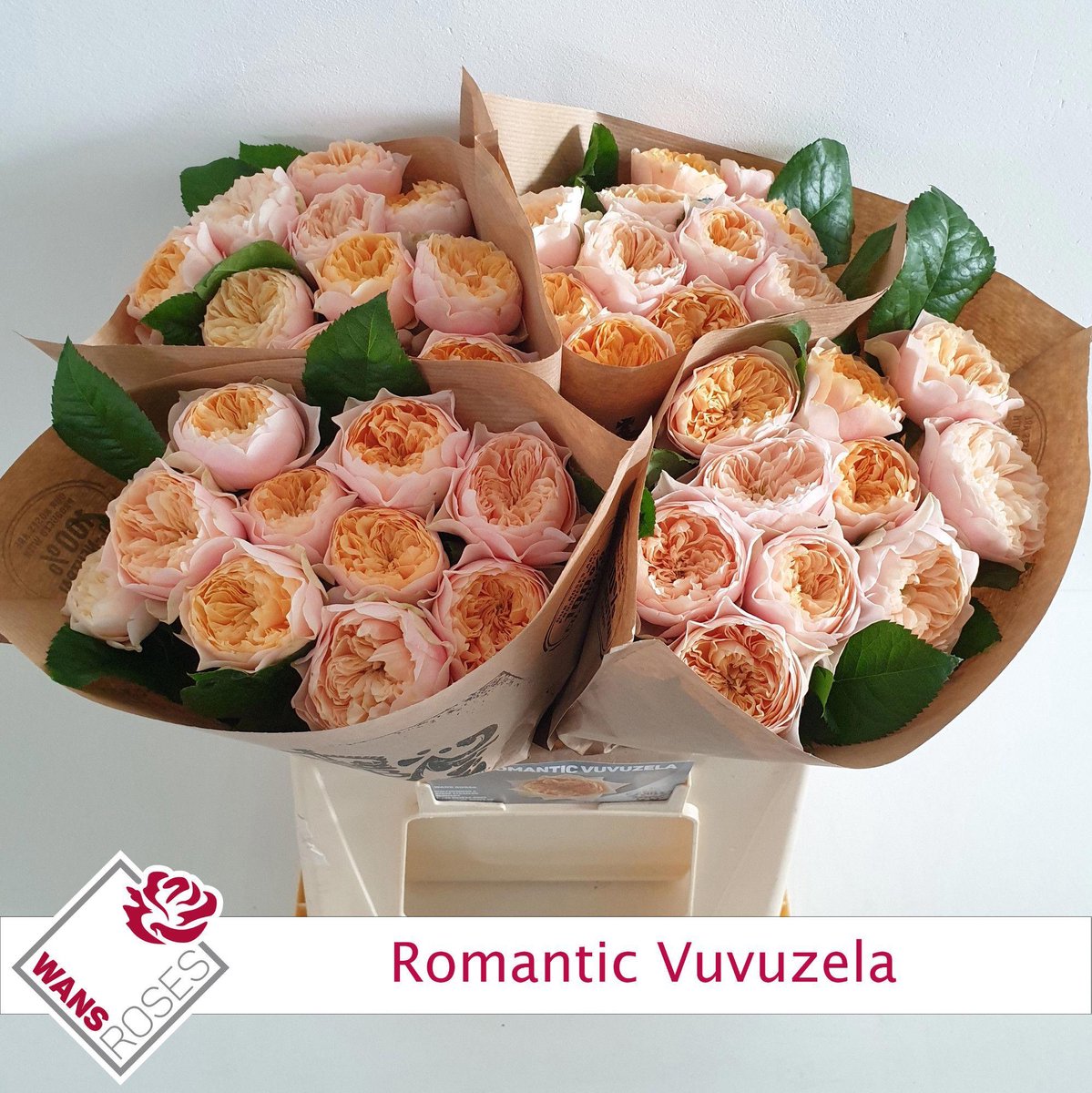 10x Rosa romantic vuvuzela 40cm