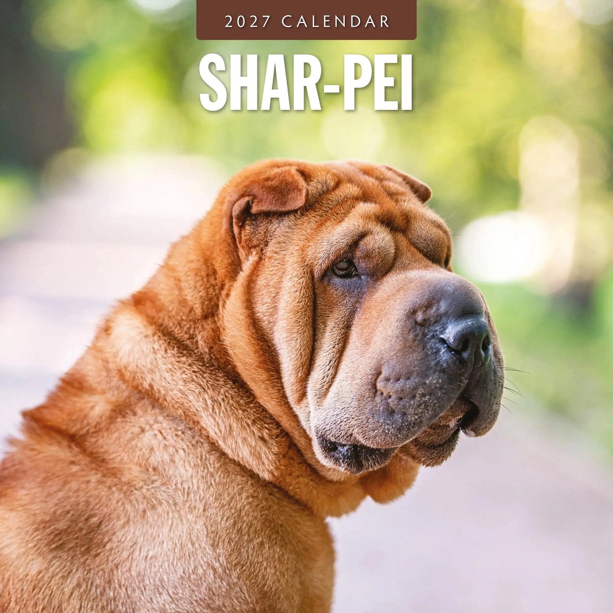 Shar Pei Kalender 2027