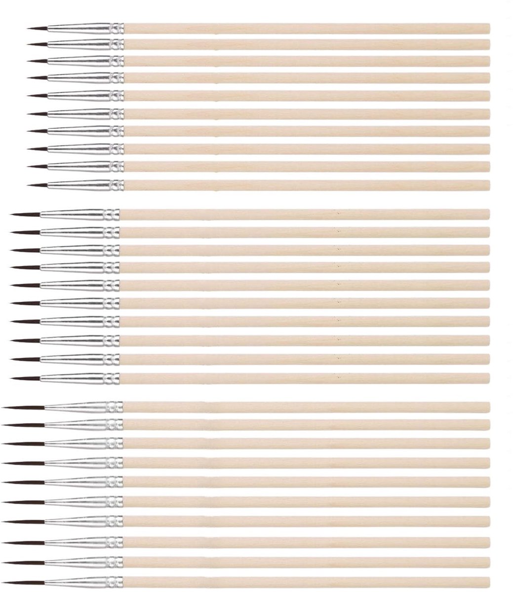 Dailygoods- Verfkwast Set van 30 Stuks - Fijne Detailkwasten - Miniatuur Penselen - Voor Aquarel/Olie/Acrylverf - Hoogwaardige Nylon Borstelharen - Detailpenselen