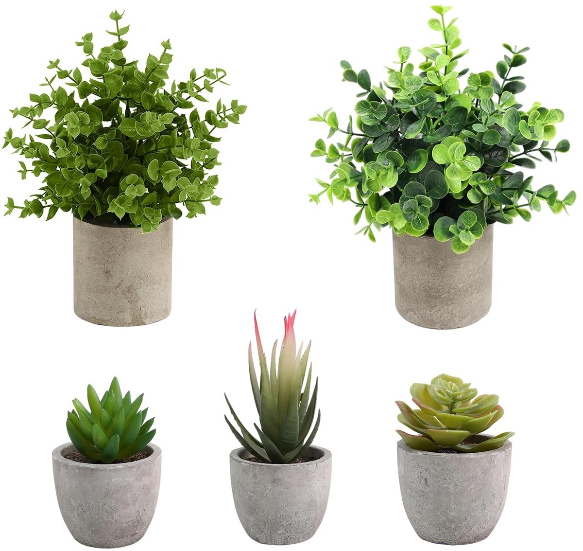 Dailygoods- Kunstplanten Set van 5 - Mini Kunstplanten - Slangentong/Agave Vetplanten - Eagle Claw Aloë - Onderhoudsarm - Duurzaam en Milieuvriendelijk - Nepplanten