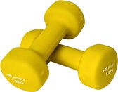 AJ-Sports Dumbell set vinyl - 2 x 1,5kg - 2 Stuks – Halters met Vinyl Coating – Gewichten voor Fitness, Krachttraining en Thuis Sporten