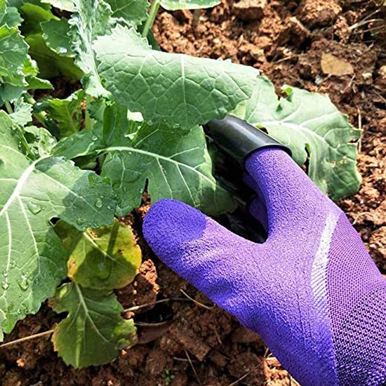 Paarse tuinhandschoen met klauwen raakt een groen blad aan in de aarde.