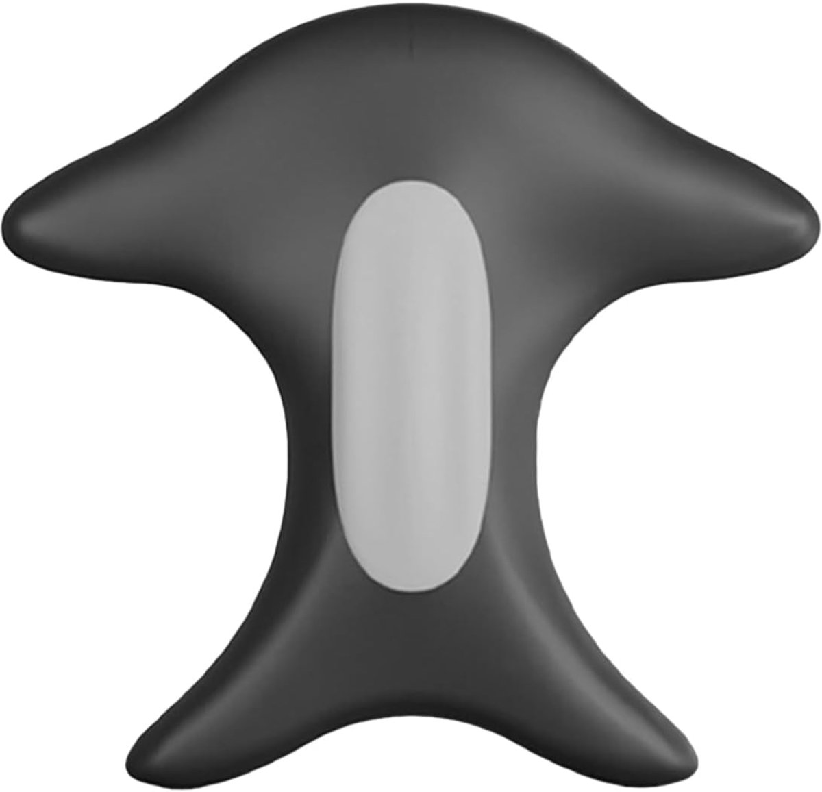 Bekkenbodemtrainer - Kernondersteuning - Functionele Fitness - Met Zachte Verwarming - 28 x 16 x 10 cm - Zwart