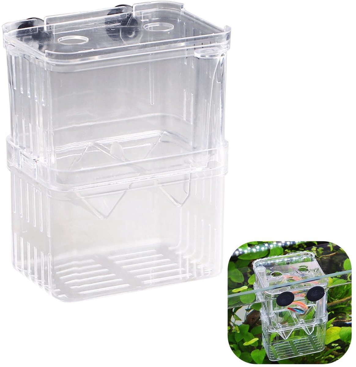 Dailygoods- Kweekbak Compact - Kweekbak Aquarium - Dubbellaagse Opbergdoos - Kweektank voor Guppy/Garnalen - 11 × 7 × 8 cm - Hoogwaardig Acryl - Mini-aquarium