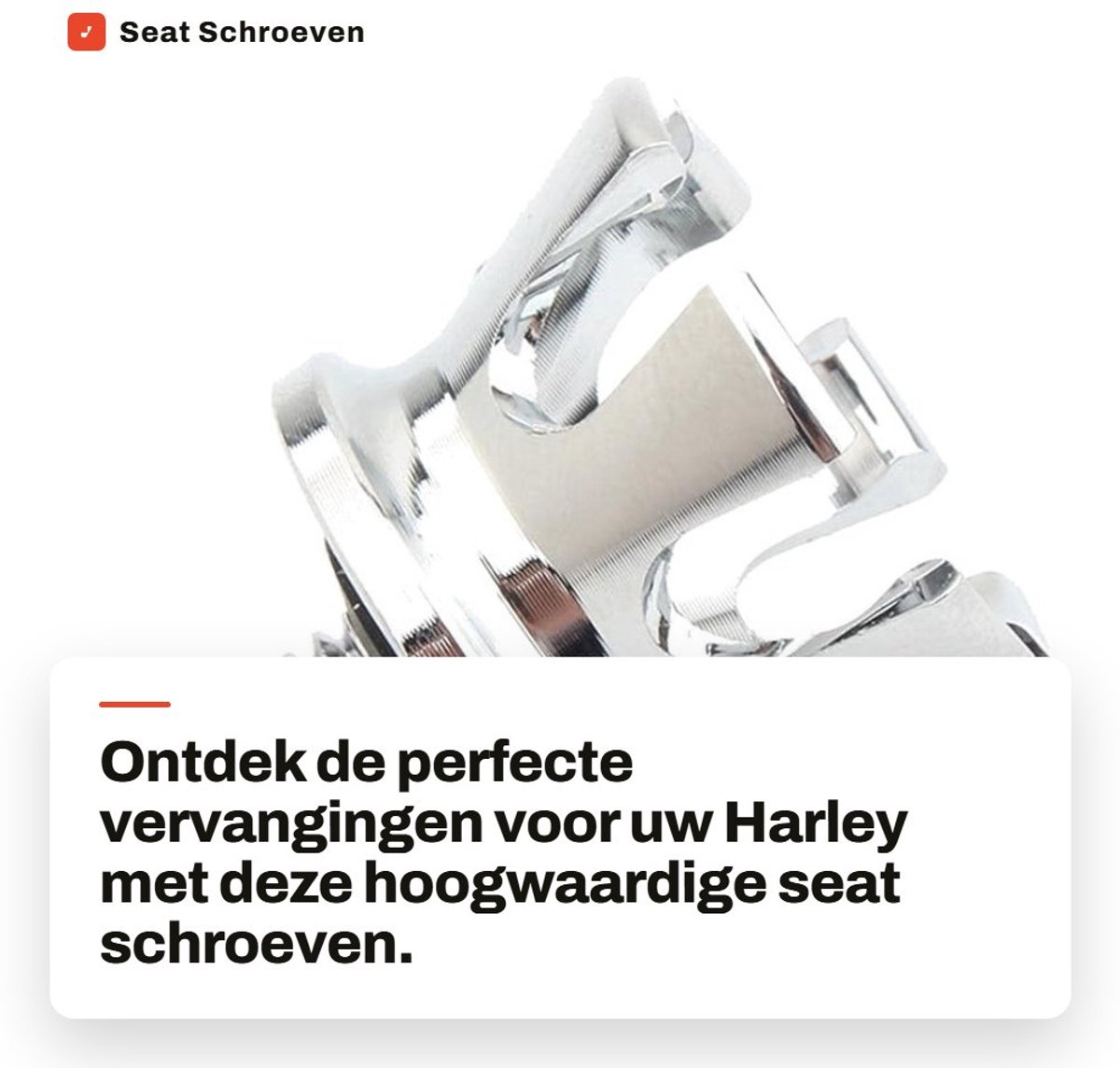 Dailygoods- Schroeven Vervangingsset - Bouten - Schroefdraad 1/4"-20 - Roestvrij Staal - Slijtvast - Neopreen Ring - Zitbouten