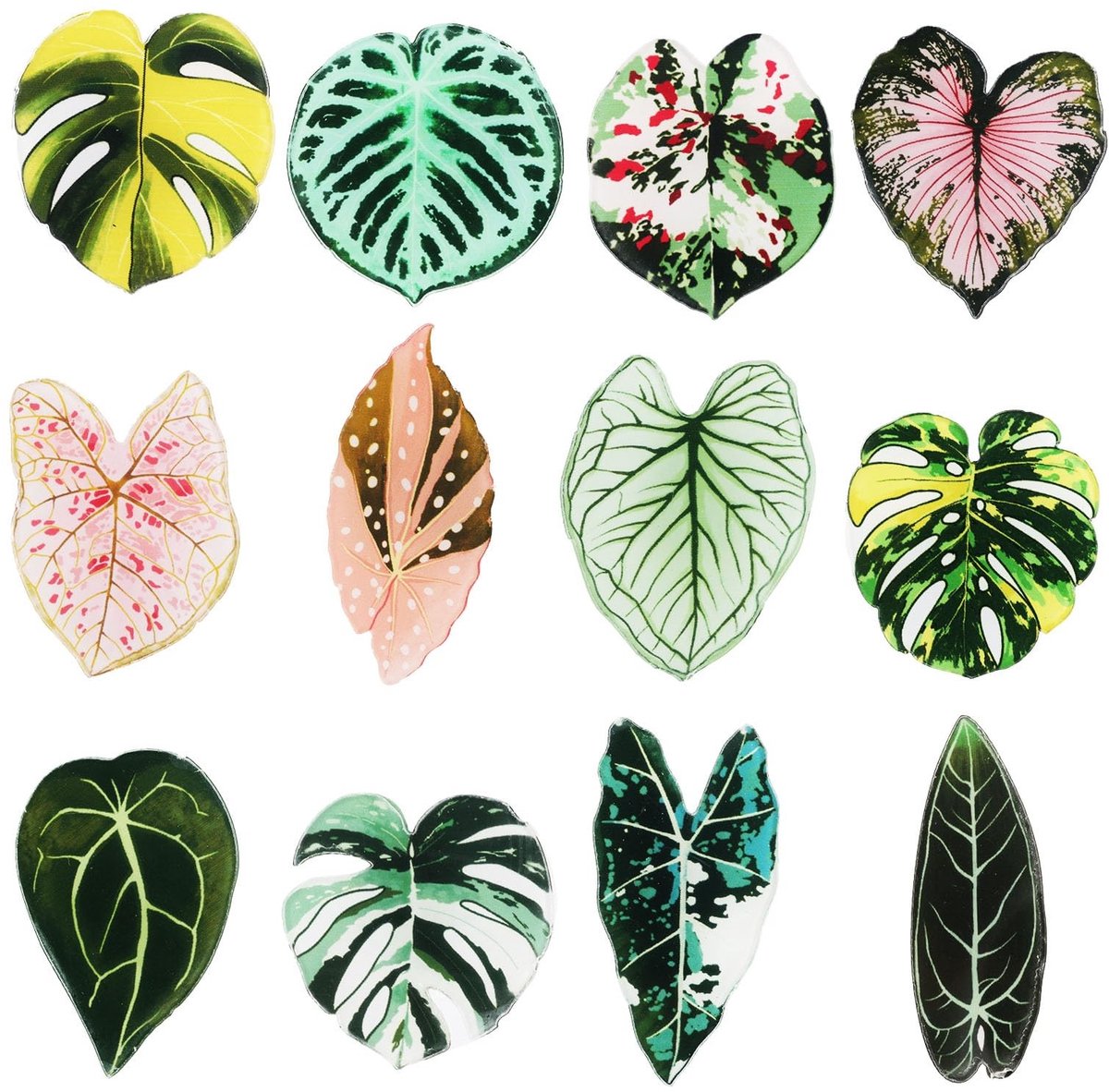 Dailygoods- Koelkastmagneten 12st Bladvormig - Decoratieve Magneten - Planten Thema - Multicolor - Acryl - Grappig Cadeau Idee