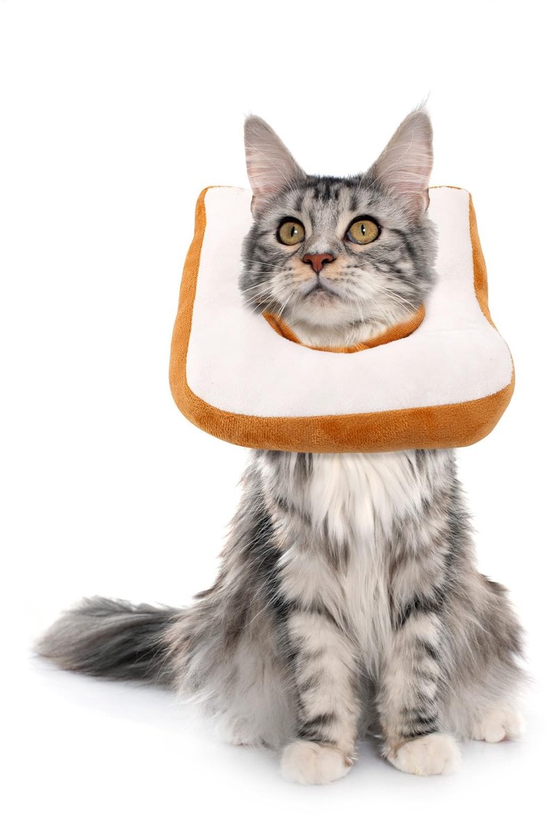 Dailygoods- Kattenhalsband Verstelbaar - Kattenhalsband met Kegel - Lichtgewicht - Beschermende Halsband - Kattenhalsband met Belletje - Effectief Hulpmiddel bij Herstel - Herstelhalsband
