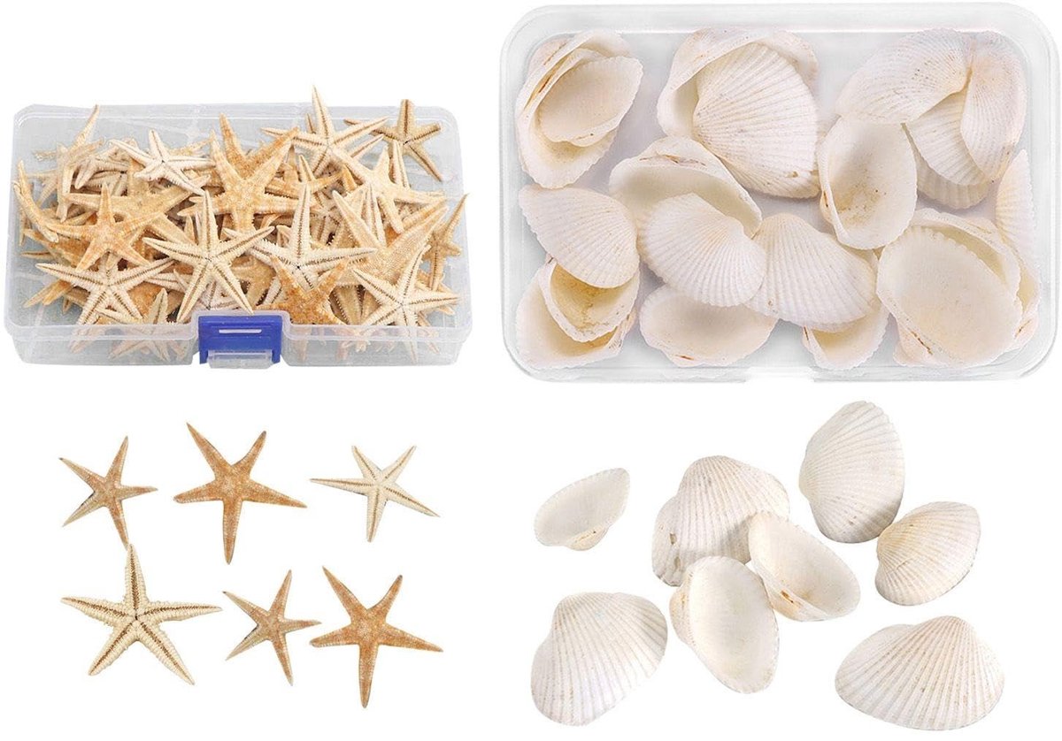 Dailygoods- Zeesterrendecoraties 50 stuks - Schelpdecoraties 12 stuks - Aquariumdecoratie - Kunsthandwerk - Woondecoratie - Natuurlijk materiaal - Zeesterren