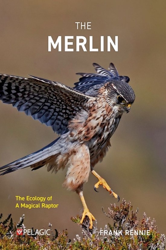 The Merlin - cover