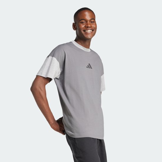 Adidas Sportswear All Szn Colorblock T-Shirt - Heren - Grijs