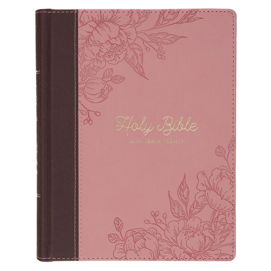 KJV Note-Taking Bible (Faux Leather Hardcover, Brown/Pink)