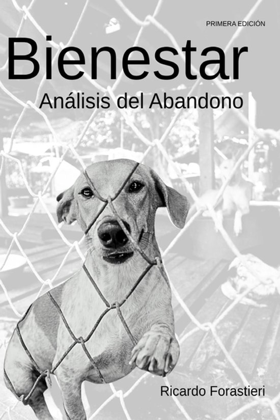 Bienestar - cover